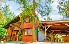 Nice Home In Swornegacie With Kitchen